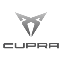 102-cupra